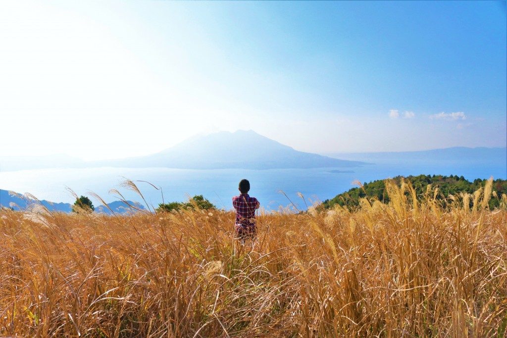 狐ヶ丘高原