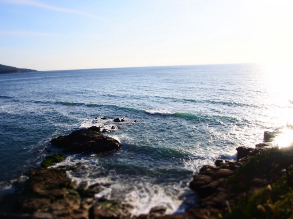 坊津の海