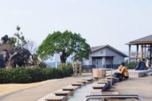 桜島溶岩なぎさ公園