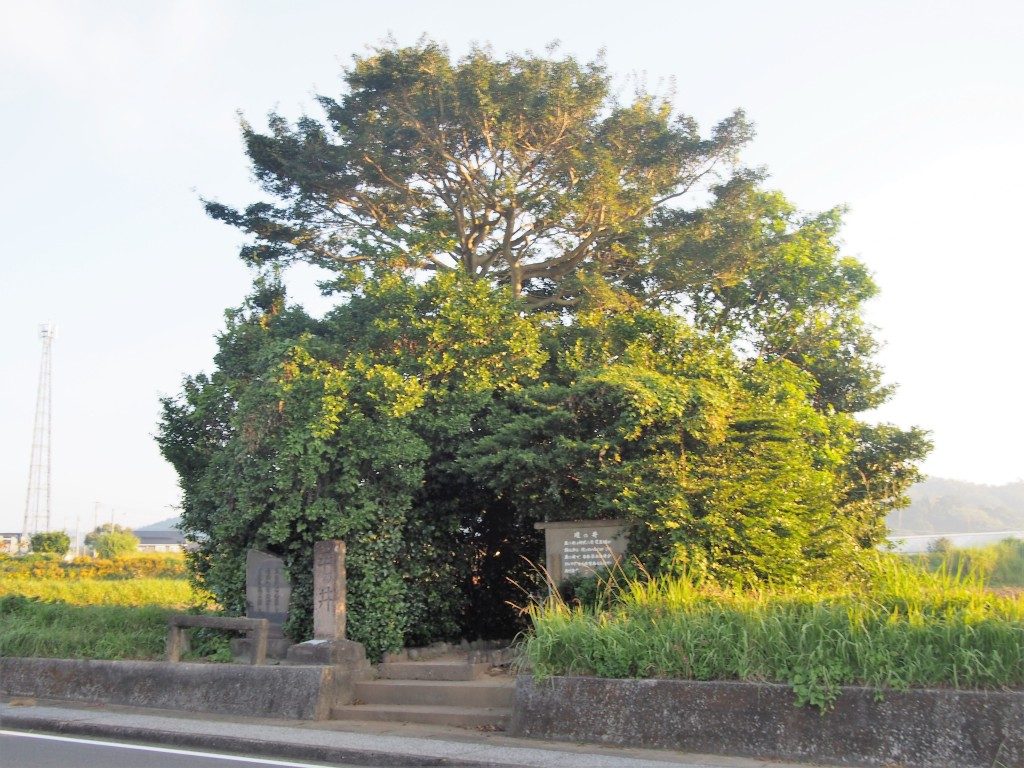 玉の井