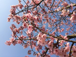 1d078190b05626deb4cf05edb69808764cfbe3b