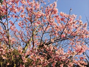 414ac618d8edb5b3555ec4441b54b7b5f2e7eaf