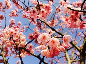 518e7dc3a973fd22c0baa018afad52041854c06