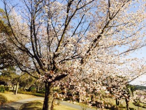 679b8cdf34f8f82d171fed1d943e61e1d928b12