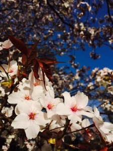 8cd0031686cab5c8302e19f17a86eb12f3c8983