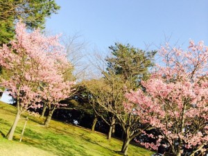 e5ec3c091f3c338b6d5aa1472c6d4c1b98dea3d