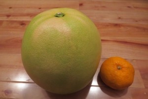 IMG_5058-thumbnail2