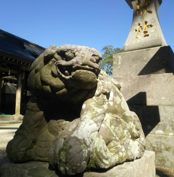 新田神社の狛犬