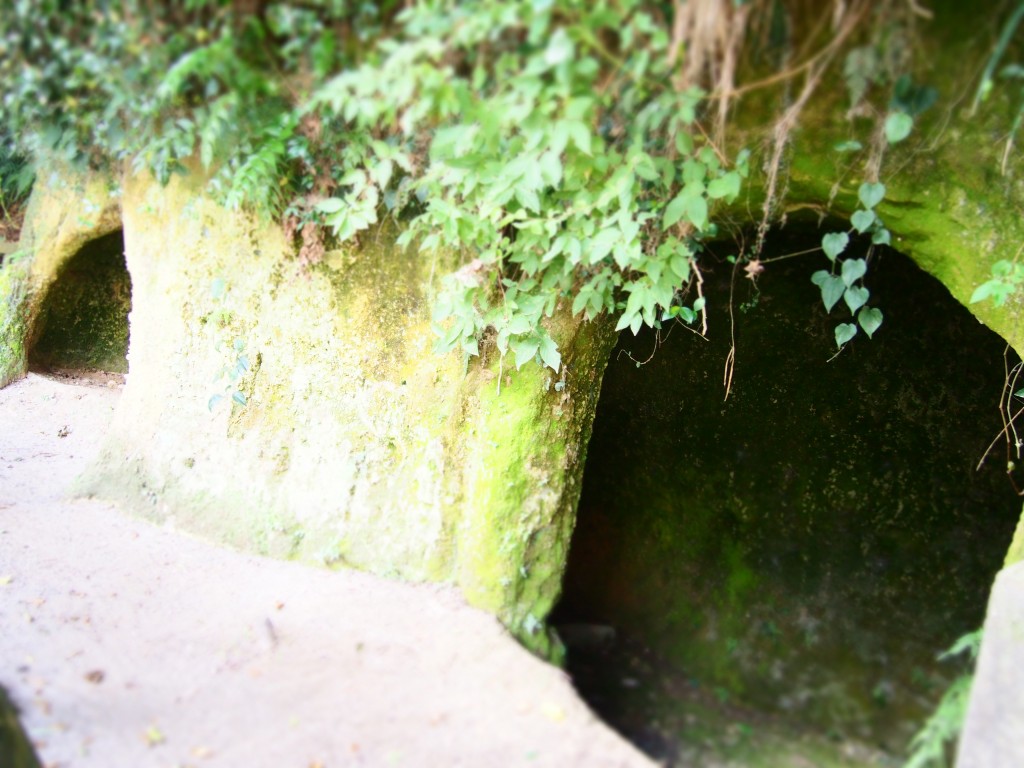 西郷隆盛洞窟 西南戦争最後の激戦地 城山 での最後の5日間 地元人おすすめ 鹿児島観光ガイド