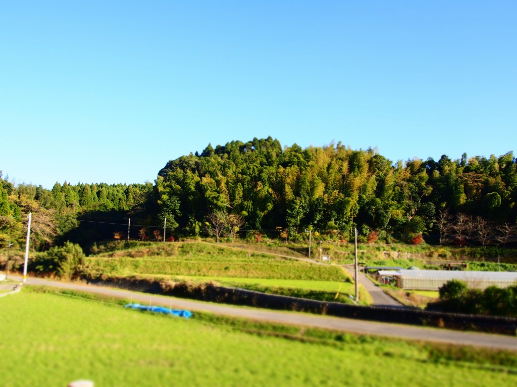 田園風景