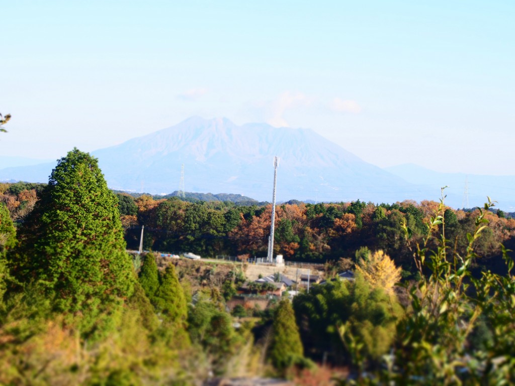 桜島