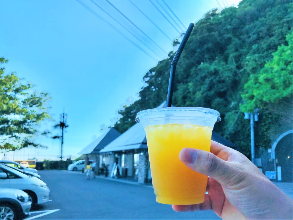 佐多岬のマンゴージュース