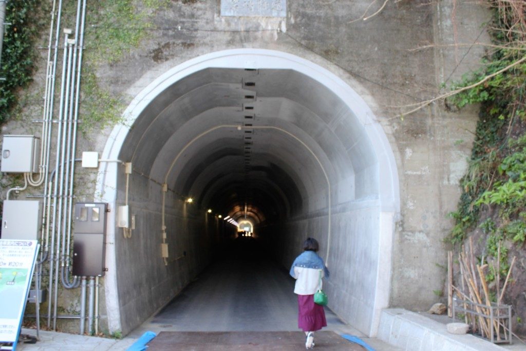 佐多岬