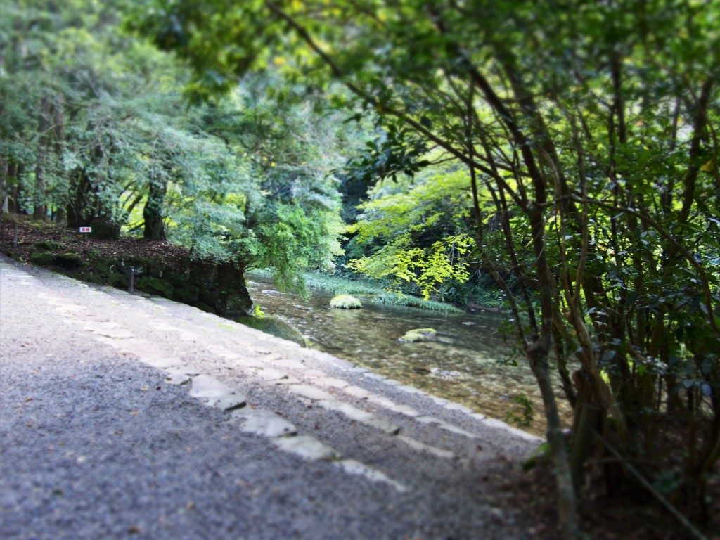 stair down to the stream stair down to the stream