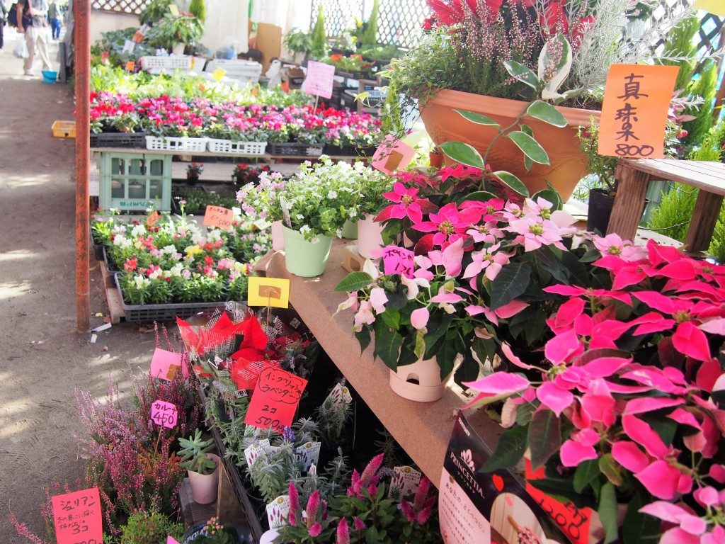 Beautiful Flower Shop