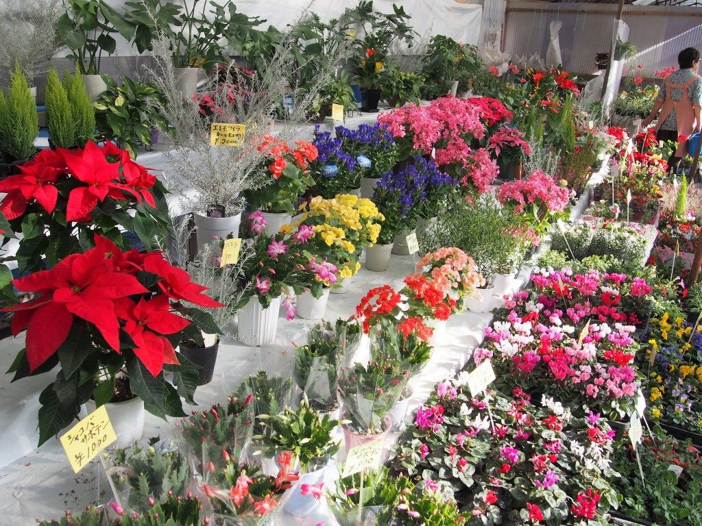 various flowers of tree market
