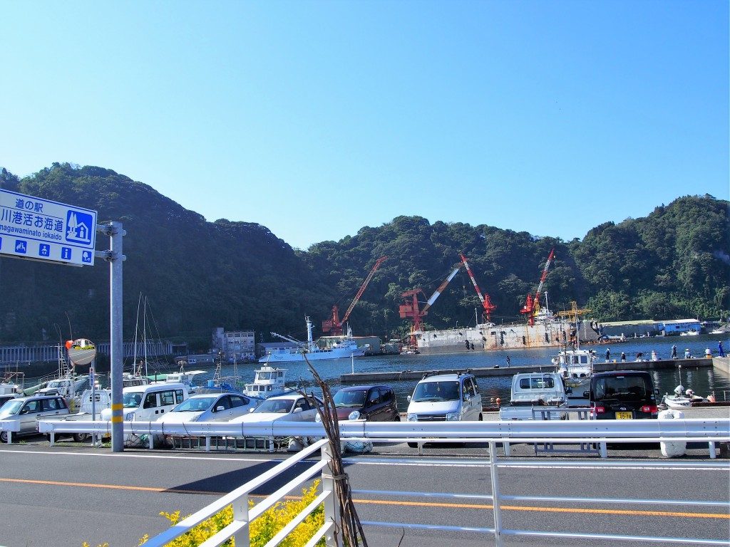 山川港の眺め