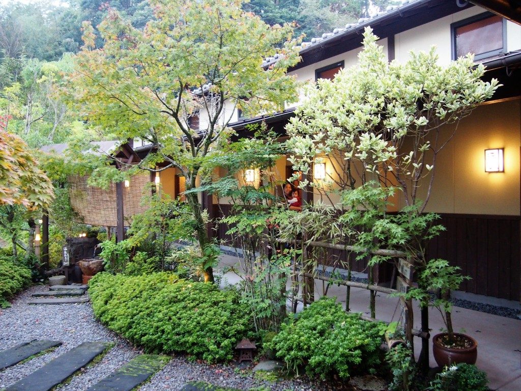 野の花