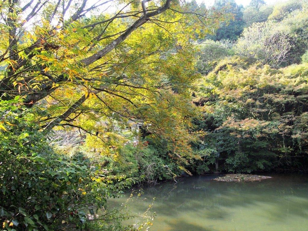 みどり荘