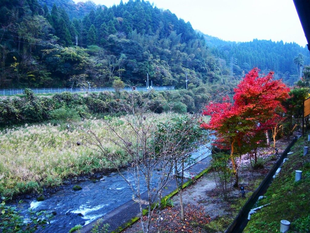 かれい川の湯の眺め