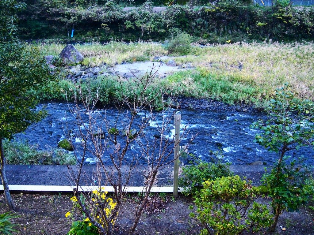 かれい川の湯の眺め