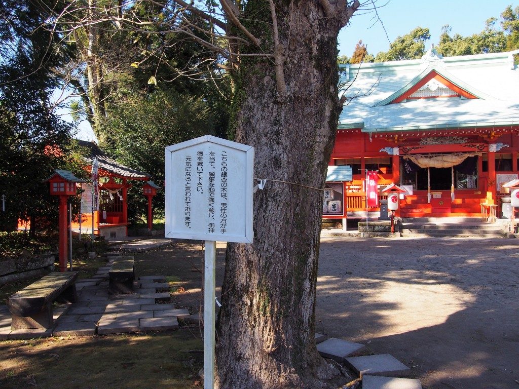大汝牟遅神社のイチョウ