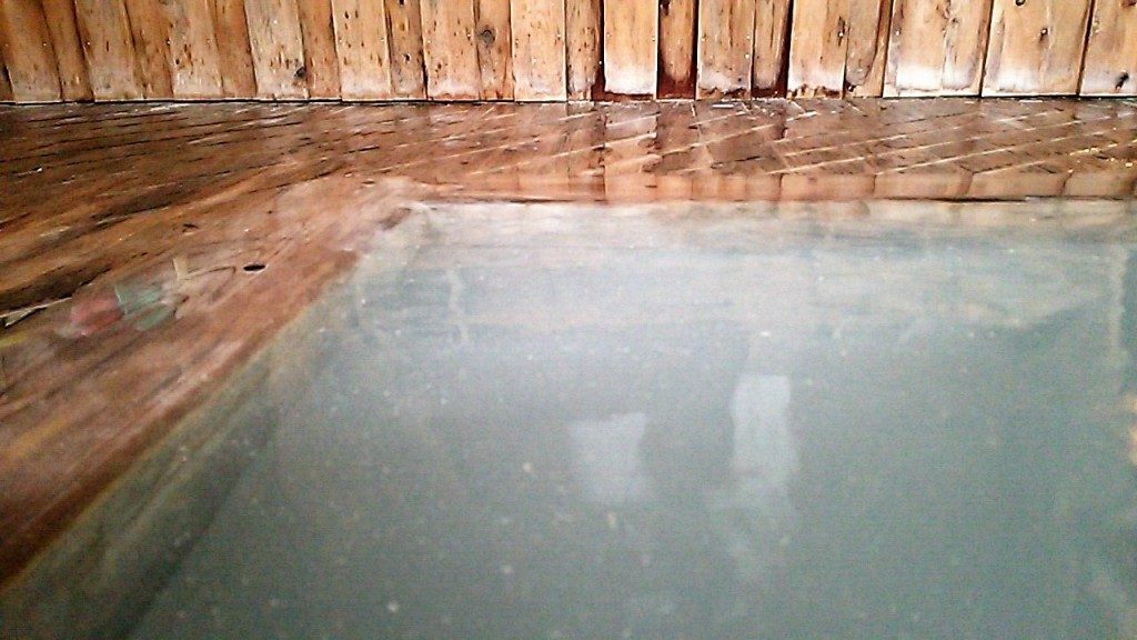 霧島湯之谷山荘の炭酸湯