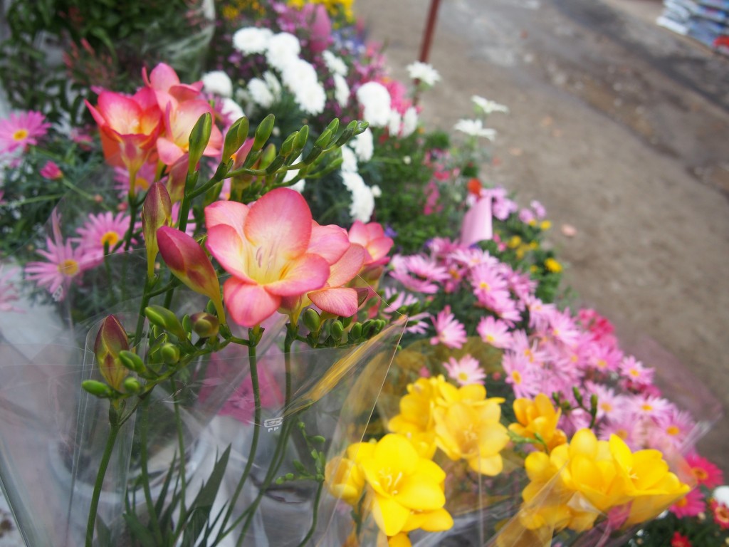 春の木市の花々