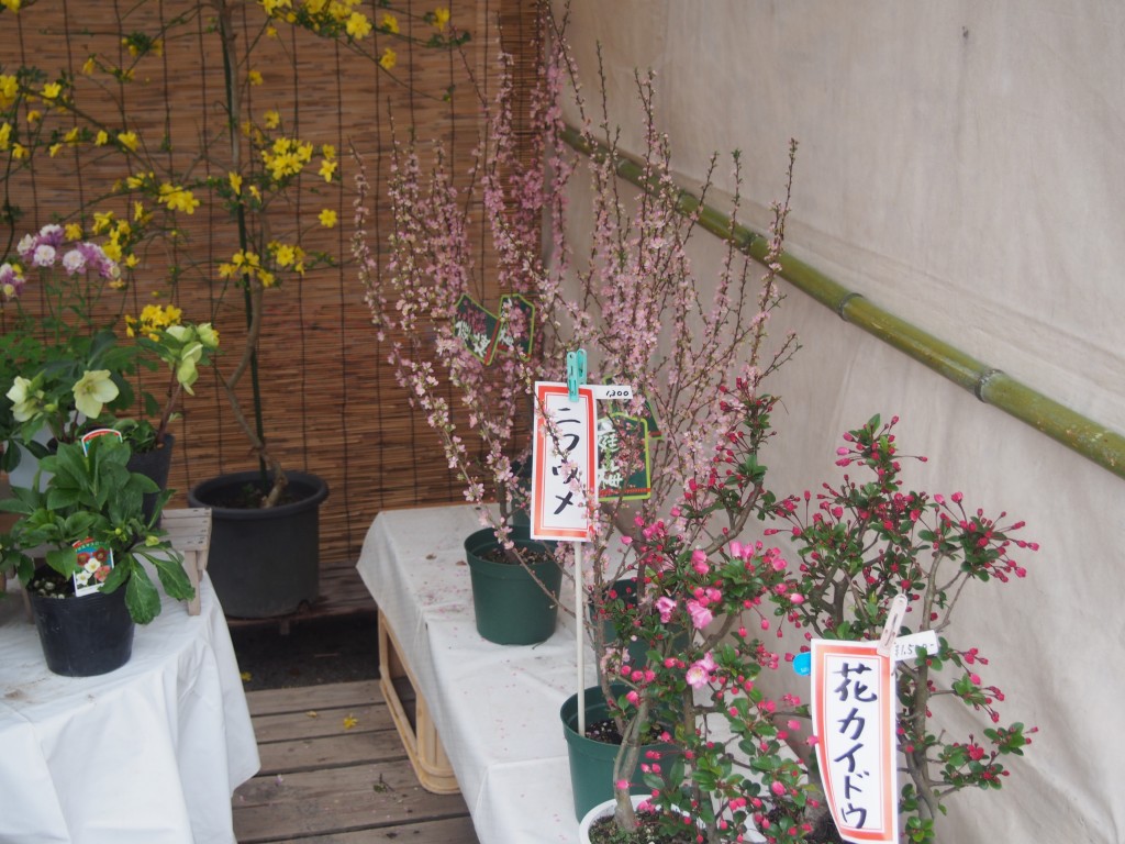 春の木市