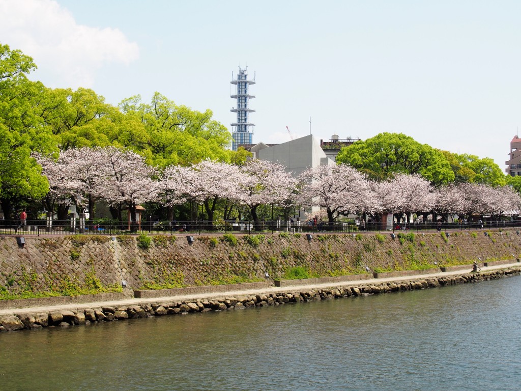 甲突川の桜並木