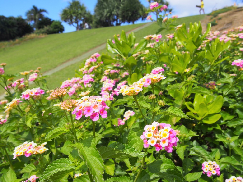 笠石海浜公園