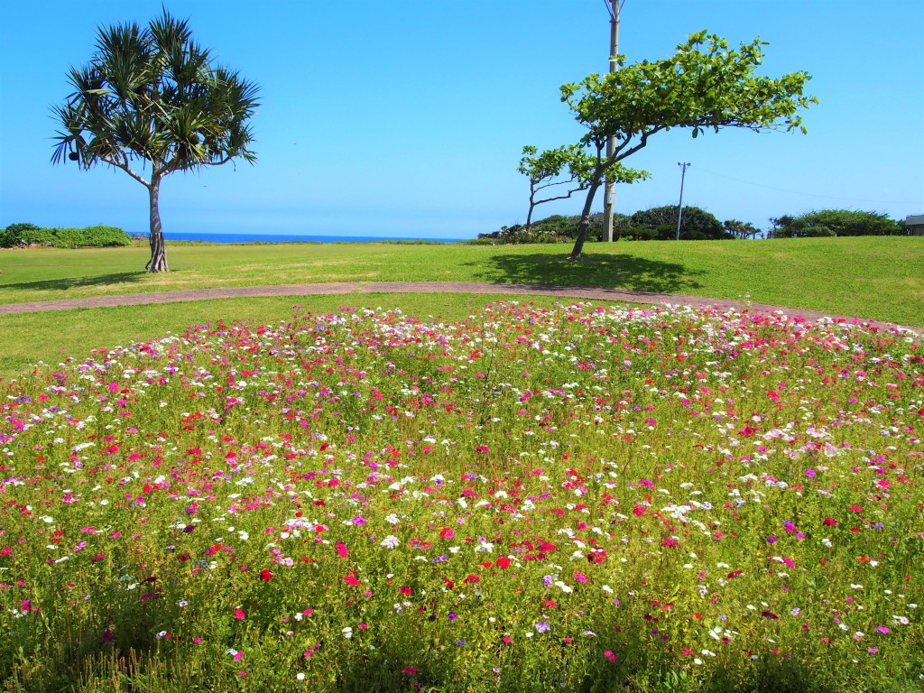 笠石海浜公園