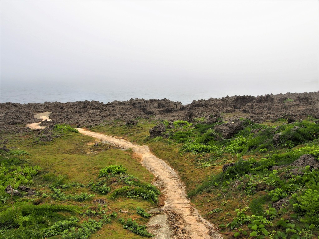 沖永良部島のフーチャへの道