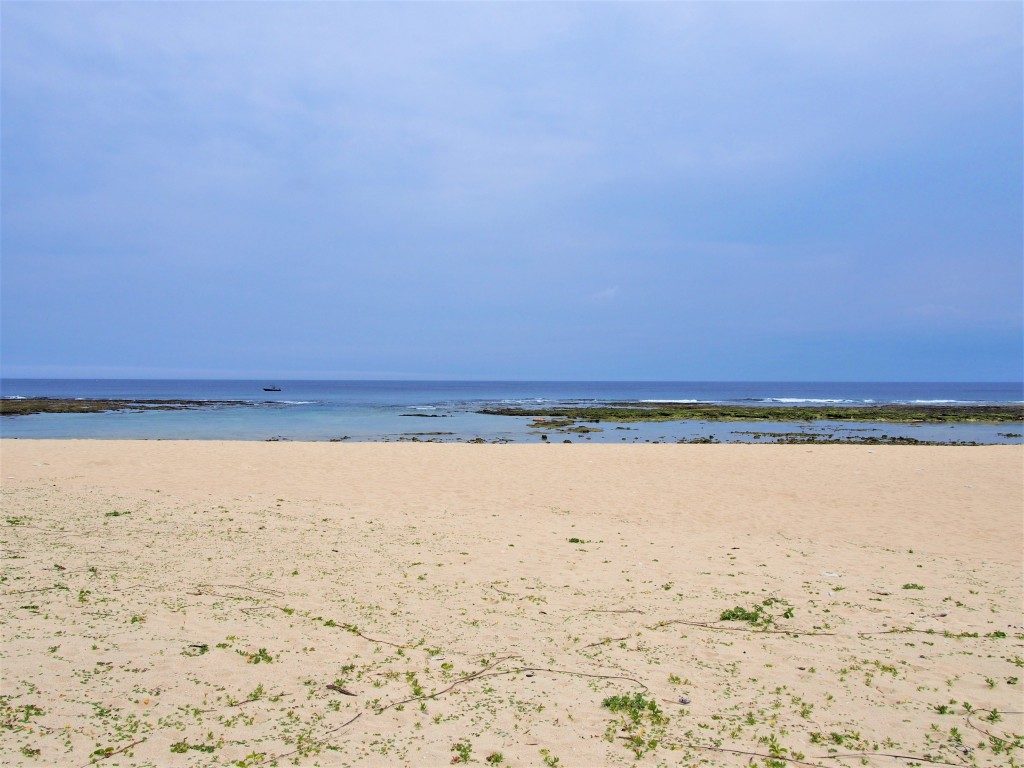 沖泊海浜公園