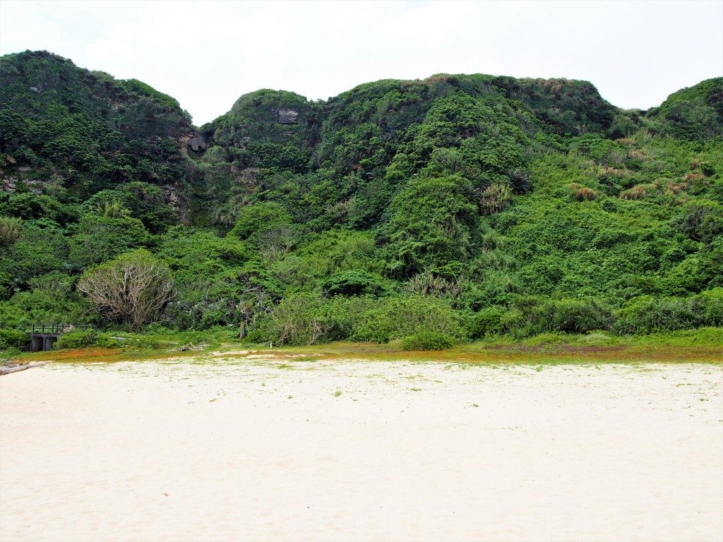 沖泊海浜公園