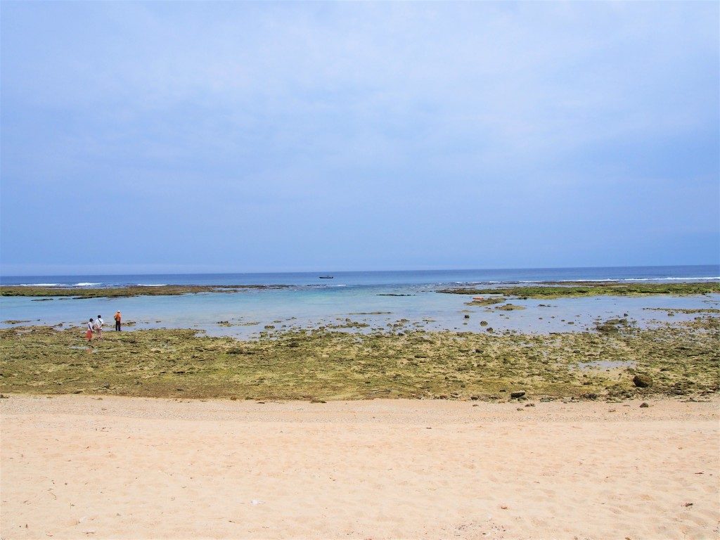 沖泊海浜公園
