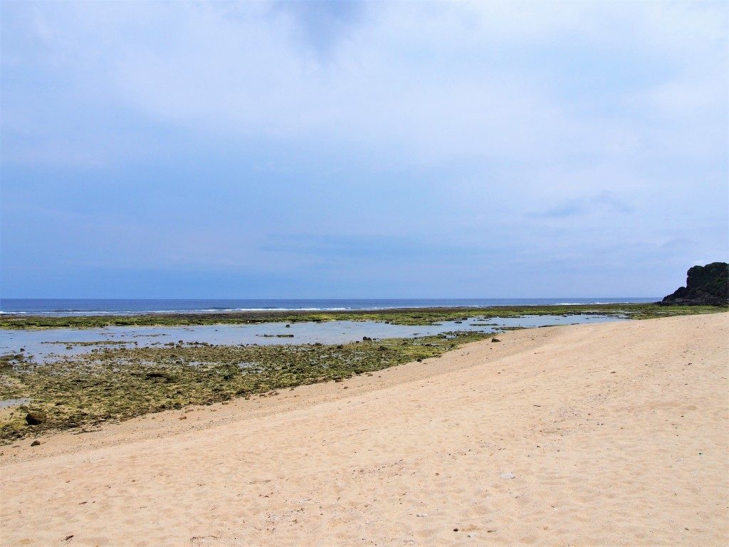 沖泊海浜公園