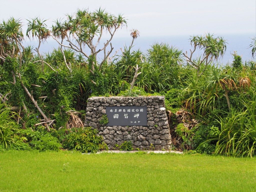 田皆岬