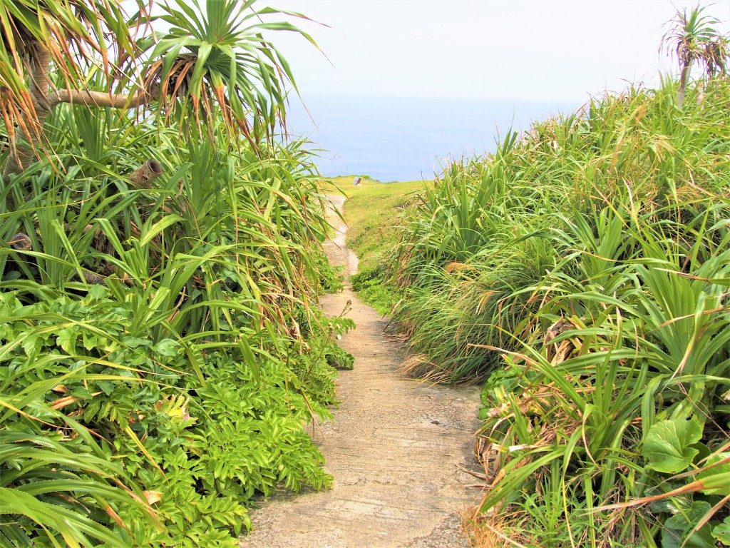 田皆岬