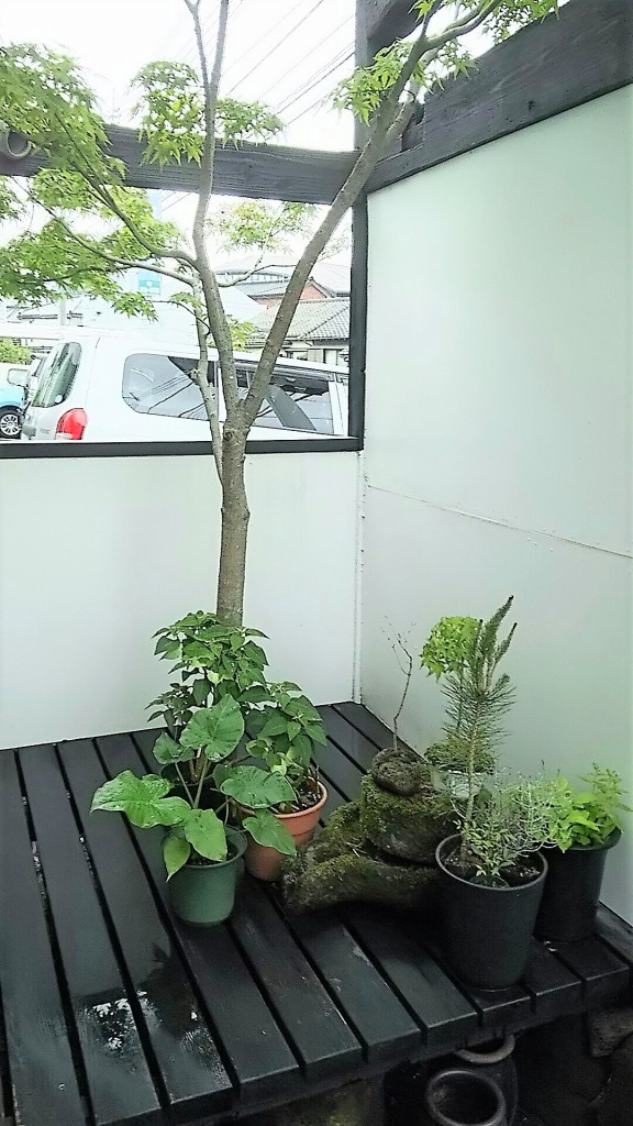 玉や