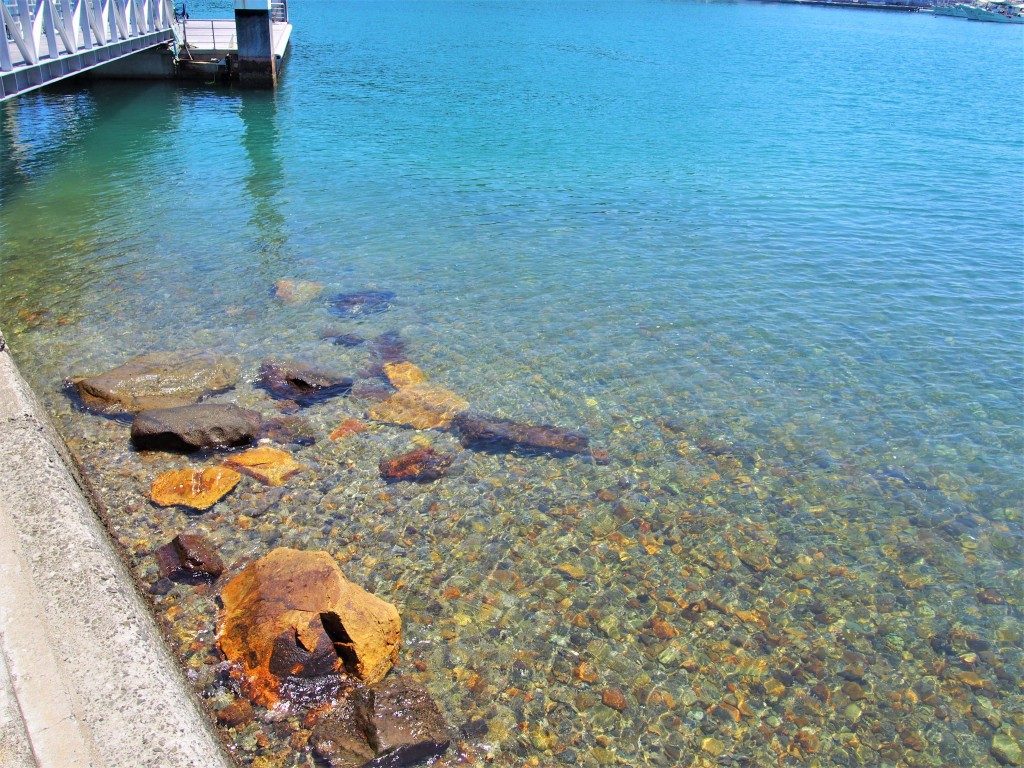 笠沙恵比寿の海