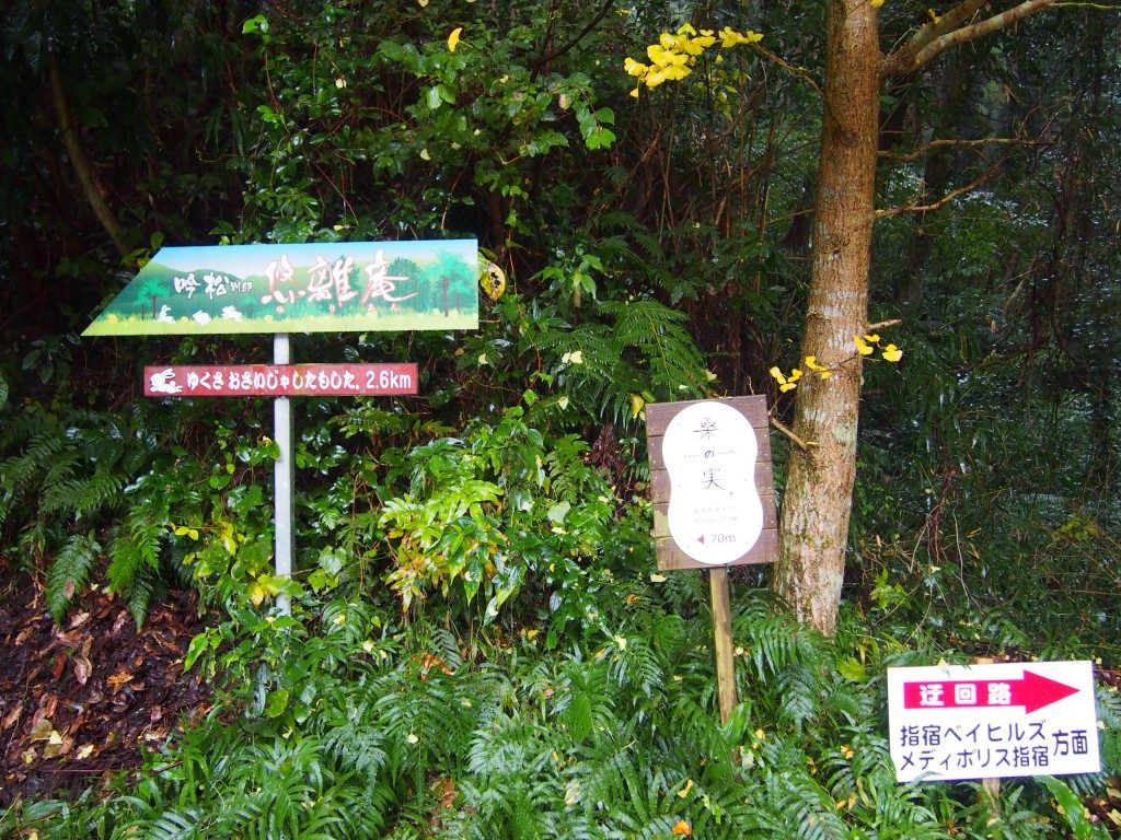 養蚕農家カフェ 桑の実への道
