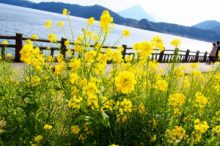 池田湖パラダイス