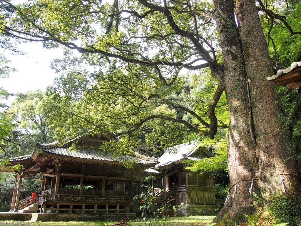 精矛神社