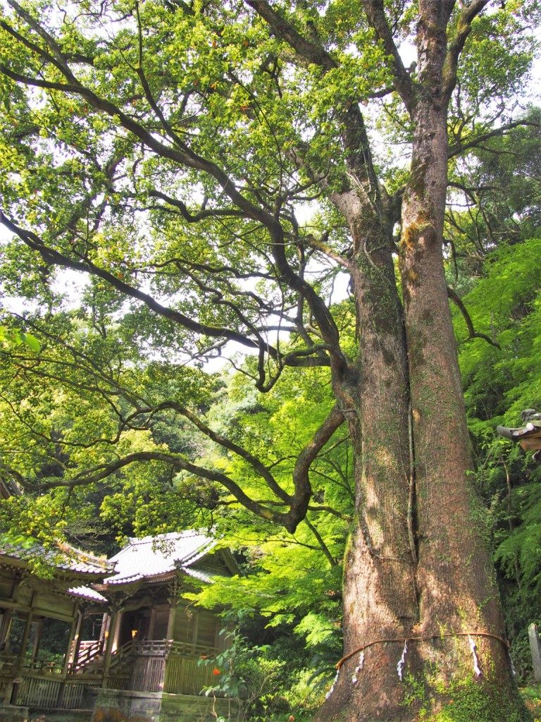 精矛神社