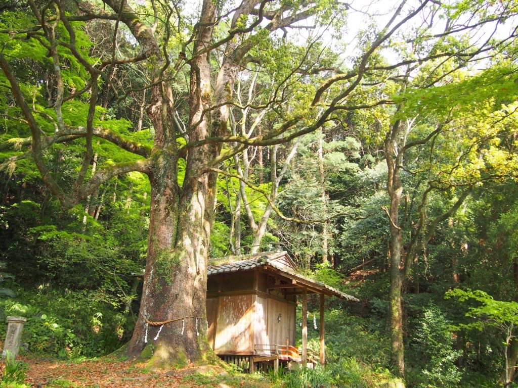 精矛神社