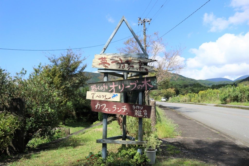 オリーブの木
