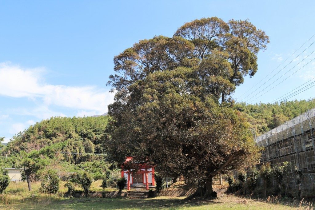 小鳥神社