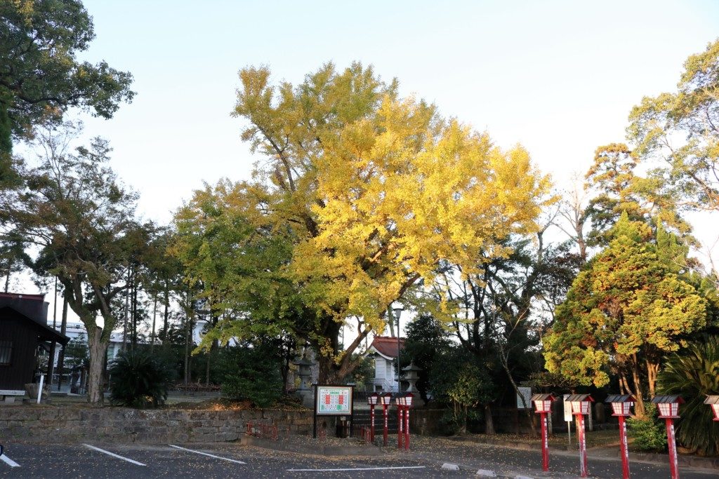 鵜戸神社