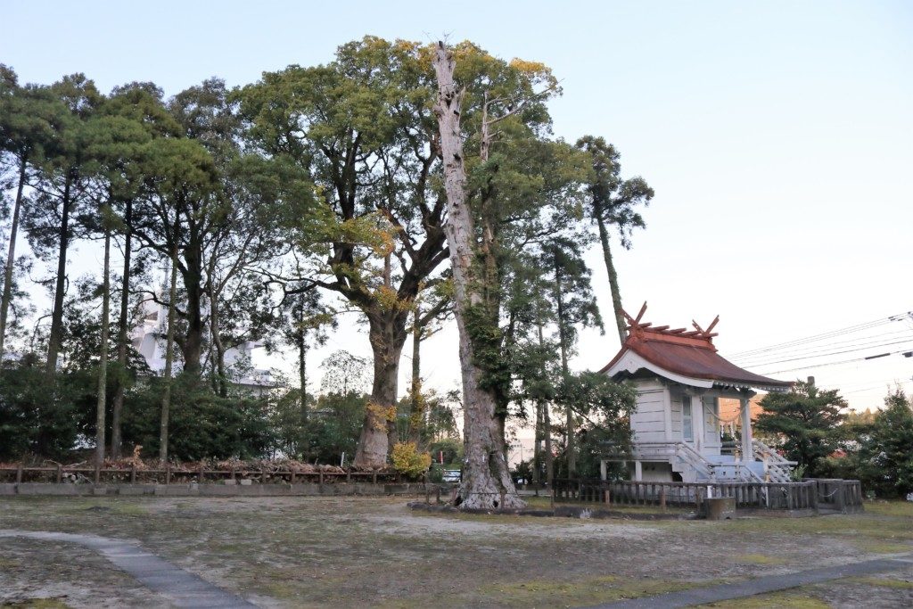 鵜戸神社